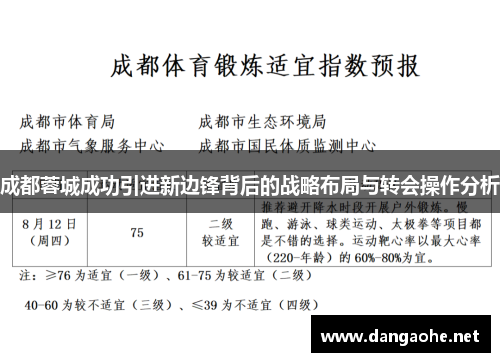 成都蓉城成功引进新边锋背后的战略布局与转会操作分析